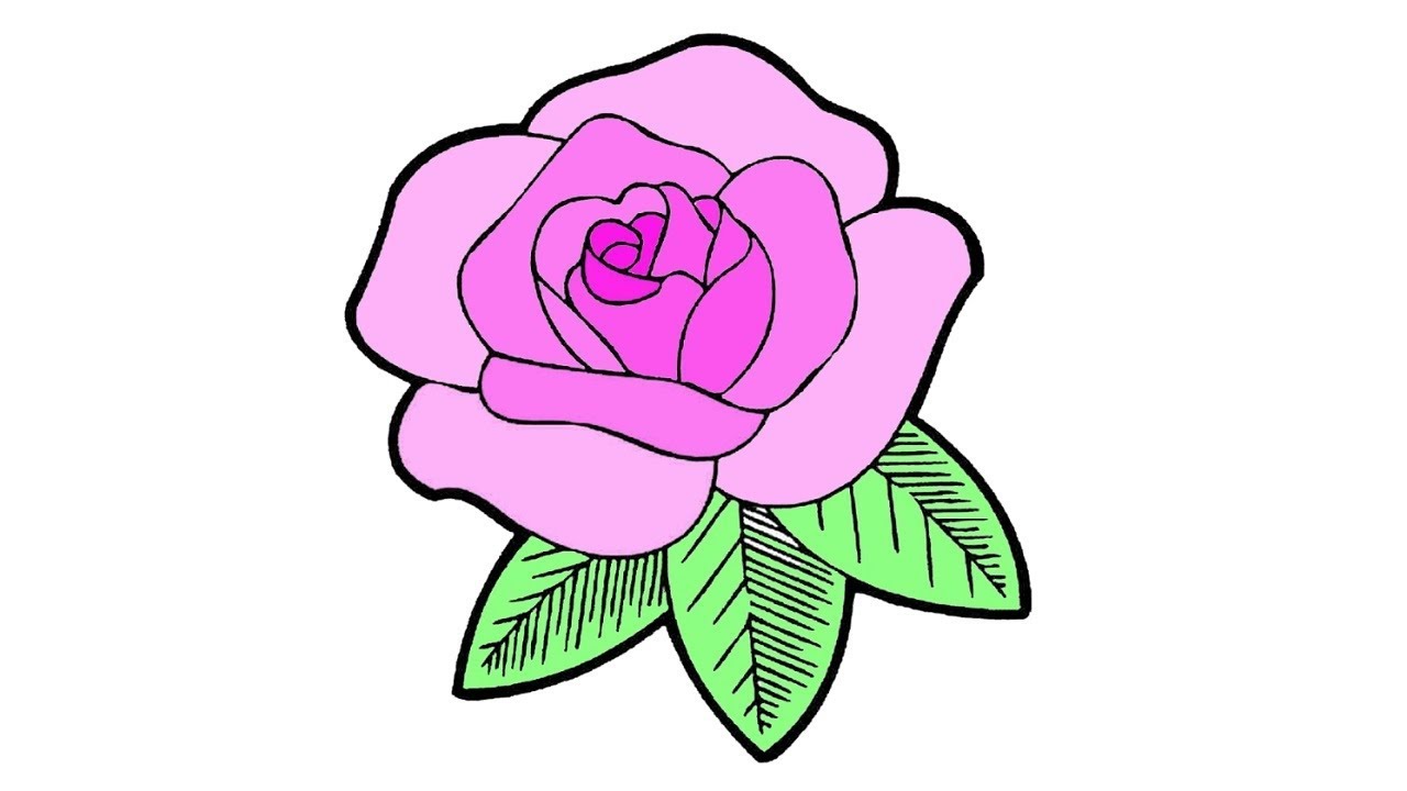 Hình vẽ hoa hồng đẹp nhất, cách vẽ hoa hồng, hình tô màu hoa hồng 