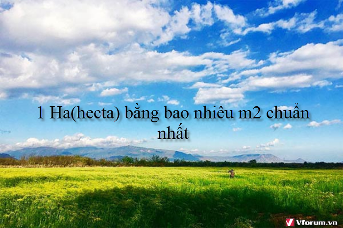 1-ha-hecta-bang-bao-nhieu-m2-chuan-nhat-1.png