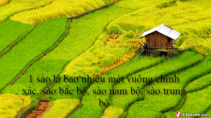 1-sao-la-bao-nhieu-met-vuong-chinh-xac-sao-bac-bo-sao-nam-bo-sao-trung-bo.png