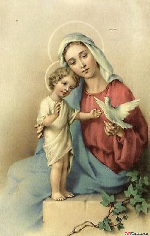 Mother Mary Wallpapers  Top Những Hình Ảnh Đẹp
