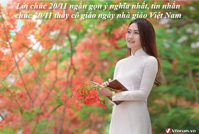 loi-chuc-2011-ngan-gon-y-nghia-nhat-tin-nhan-chuc-2011-thay-co-giao-ngay-nha-giao-viet-nam.jpg