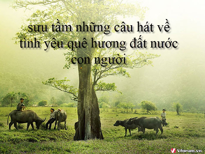 suu-tam-nhung-cau-hat-ve-tinh-yeu-que-huong-dat-nuoc-con-nguoi-1.jpg