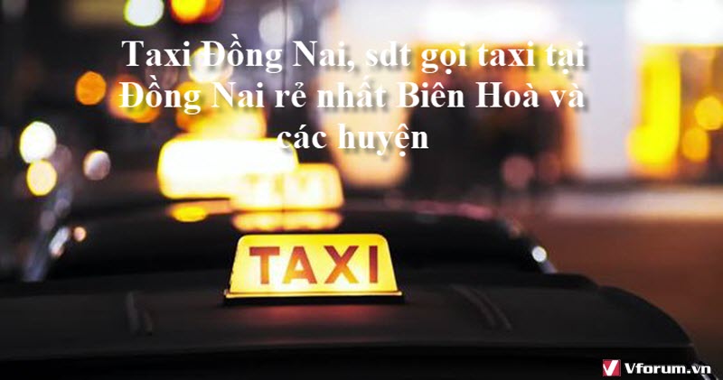 taxi-dong-nai-sdt-goi-taxi-tai-dong-nai-re-nhat-bien-hoa-va-cac-huyen-1.jpg