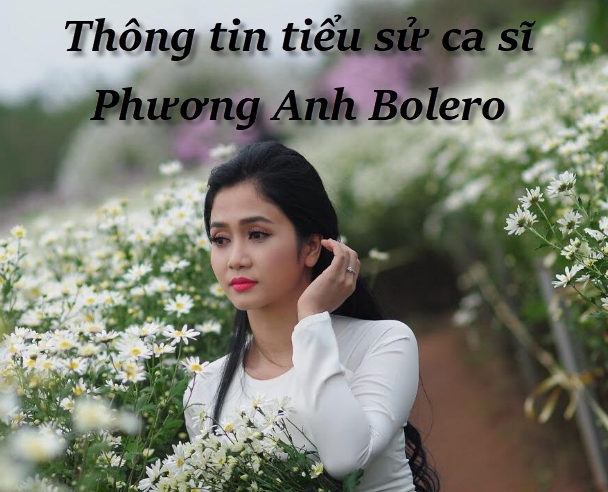 thong-tin-tieu-su-ca-si-phuong-anh-bolero1.png