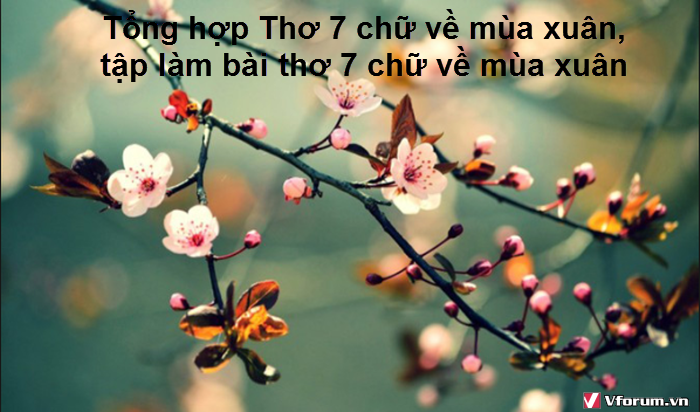 tong-hop-tho-7-chu-ve-mua-xuan-tap-lam-bai-tho-7-chu-ve-mua-xuan-1.png