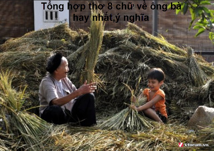 tong-hop-tho-8-chu-ve-ong-ba-hay-nhat-y-nghia-1.png