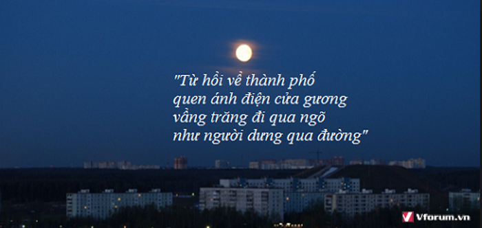 top-nhung-bai-tho-ve-trang-hay-nhat-4-chu-5-chu-7-chu-8-chu-luc-bat-2.png