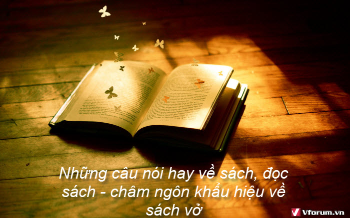 nhung-cau-noi-hay-ve-sach-doc-sach-cham-ngon-khau-hieu-ve-sach-vo-2.jpg