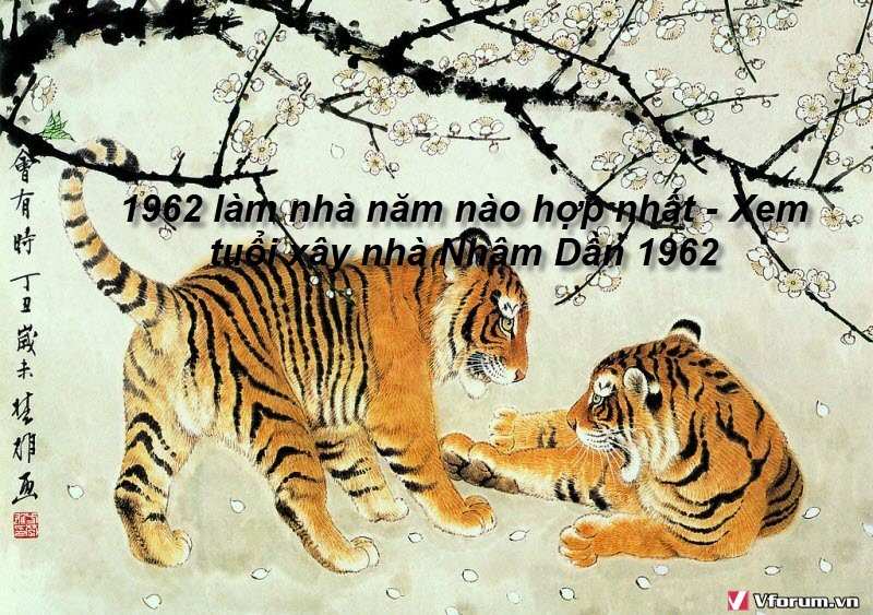 1962-lam-nha-nam-nao-hop-nhat-xem-tuoi-xay-nha-nham-dan-1962-1.jpg