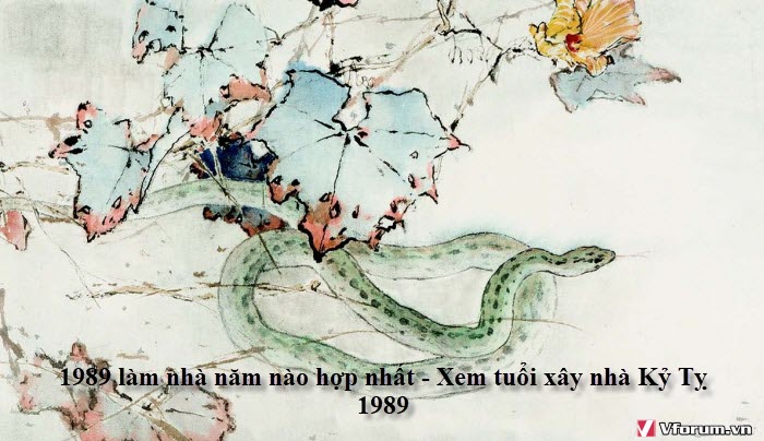 1989-lam-nha-nam-nao-hop-nhat-xem-tuoi-xay-nha-ky-ty-1989-1.jpg