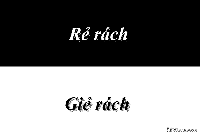 re-rach-hay-gie-rach-la-dung-ra-nhap-hay-gia-nhap-la-dung-1.png