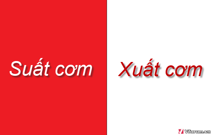 sai-xot-hay-sai-sot-dung-chinh-ta-suat-com-xuat-com-sat-nhap-sap-nhap-viet-dung-2.png