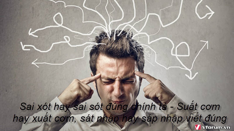 sai-xot-hay-sai-sot-dung-chinh-ta-suat-com-xuat-com-sat-nhap-sap-nhap-viet-dung-4.jpg