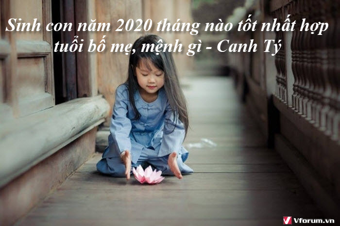 sinh-con-nam-2020-thang-nao-tot-nhat-hop-tuoi-bo-me-menh-gi-canh-ty-1.jpg