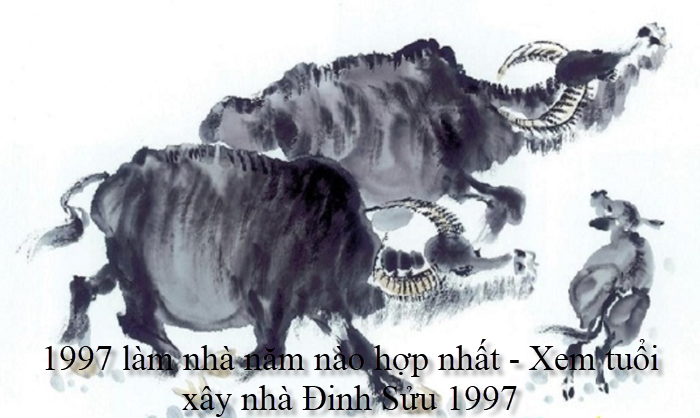 1997-lam-nha-nam-nao-hop-nhat-xem-tuoi-xay-nha-dinh-suu-1997.png