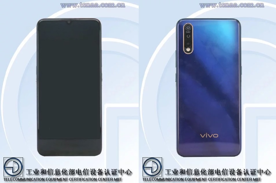 vivo(4).jpg