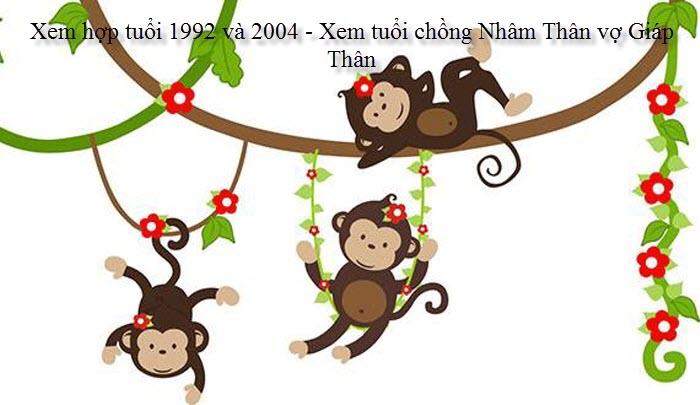 xem-hop-tuoi-1992-va-2004-xem-tuoi-chong-nham-than-vo-giap-than.jpg