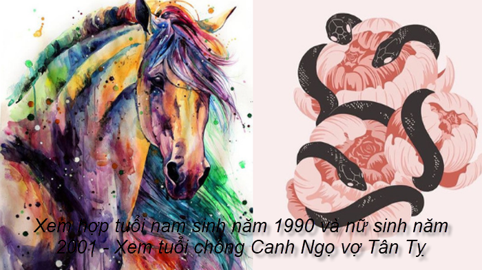 xem-hop-tuoi-nam-sinh-nam-1990-va-nu-sinh-nam-2001-xem-tuoi-chong-canh-ngo-vo-tan-ty.png