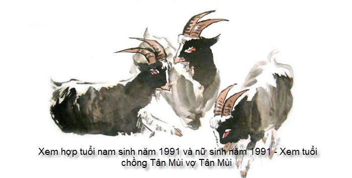 xem-hop-tuoi-nam-sinh-nam-1991-va-nu-sinh-nam-1991-xem-tuoi-chong-tan-mui-vo-tan-mui-1.jpg