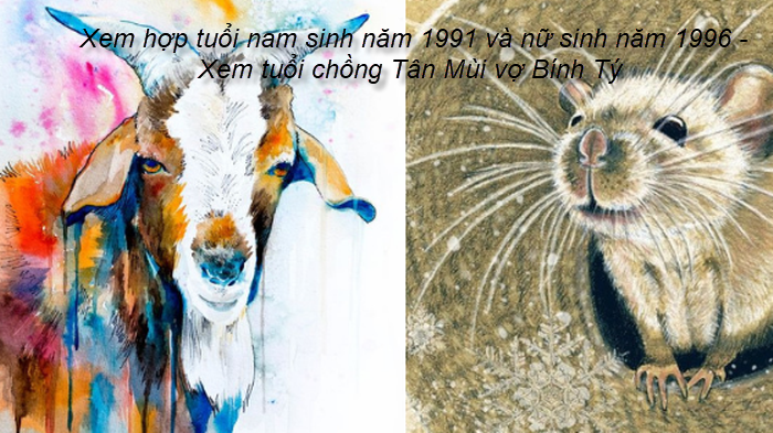 xem-hop-tuoi-nam-sinh-nam-1991-va-nu-sinh-nam-1996-xem-tuoi-chong-tan-mui-vo-binh-ty.png