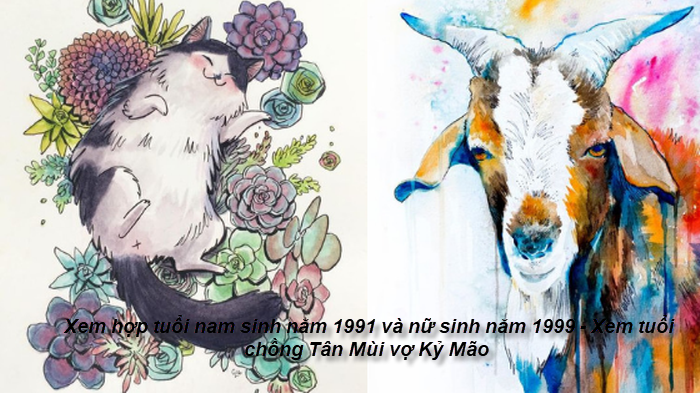 xem-hop-tuoi-nam-sinh-nam-1991-va-nu-sinh-nam-1999-xem-tuoi-chong-tan-mui-vo-ky-mao.png