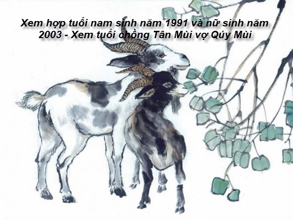 xem-hop-tuoi-nam-sinh-nam-1991-va-nu-sinh-nam-2003-xem-tuoi-chong-tan-mui-vo-quy-mui.jpg