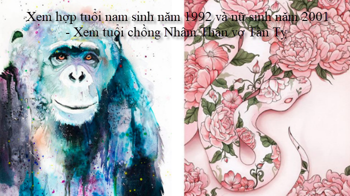 xem-hop-tuoi-nam-sinh-nam-1992-va-nu-sinh-nam-2001-xem-tuoi-chong-nham-than-vo-tan-ty.png