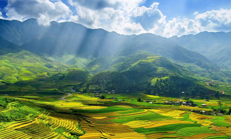 Bức tranh thiên nhiên: Để cảm nhận được vẻ đẹp của bức tranh thiên nhiên đặc sắc, bạn hãy tìm đến vùng Tây Bắc Việt Nam. Có hàng nghìn cánh đồng hoa nở rực rỡ và những con đường dài xuyên qua đồi núi sẽ tạo cho bạn một trải nghiệm khó quên của thiên nhiên.