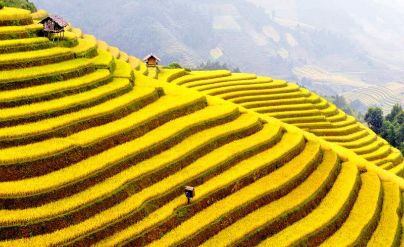 buc-tranh-tu-binh-viet-bac.jpg