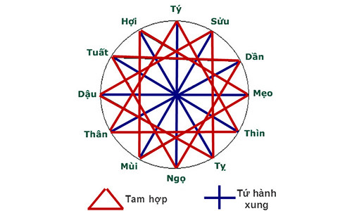 tu-hanh-xung-vforum.jpg