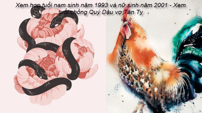 viet-xem-hop-tuoi-nam-sinh-nam-1993-va-nu-sinh-nam-2001-xem-tuoi-chong-quy-dau-vo-tan-ty.png