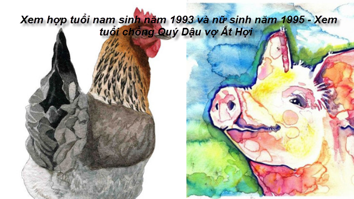 xem-hop-tuoi-nam-sinh-nam-1993-va-nu-sinh-nam-1995-xem-tuoi-chong-quy-dau-vo-at-hoi.png