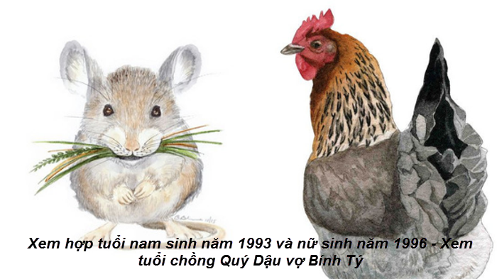 xem-hop-tuoi-nam-sinh-nam-1993-va-nu-sinh-nam-1996-xem-tuoi-chong-quy-dau-vo-binh-ty.png