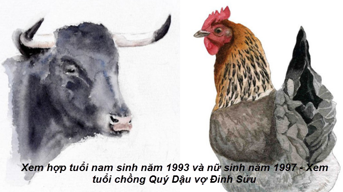 xem-hop-tuoi-nam-sinh-nam-1993-va-nu-sinh-nam-1997-xem-tuoi-chong-quy-dau-vo-dinh-suu.png