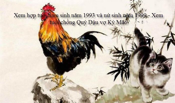 xem-hop-tuoi-nam-sinh-nam-1993-va-nu-sinh-nam-1999-xem-tuoi-chong-quy-dau-vo-ky-mao.jpg