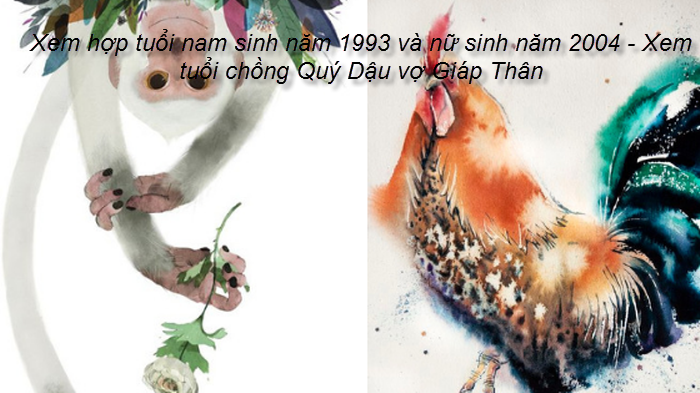 xem-hop-tuoi-nam-sinh-nam-1993-va-nu-sinh-nam-2004-xem-tuoi-chong-quy-dau-vo-giap-than.png