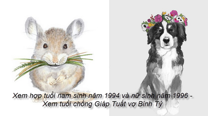 xem-hop-tuoi-nam-sinh-nam-1994-va-nu-sinh-nam-1996-xem-tuoi-chong-giap-tuat-vo-binh-ty.png