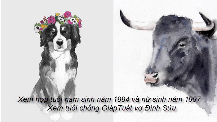 xem-hop-tuoi-nam-sinh-nam-1994-va-nu-sinh-nam-1997-xem-tuoi-chong-giaptuat-vo-dinh-suu.png