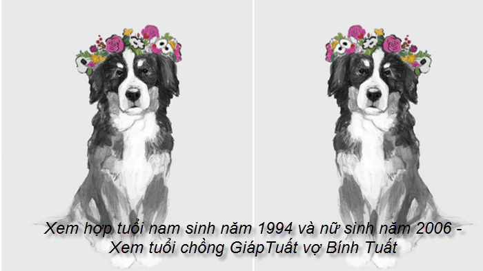 xem-hop-tuoi-nam-sinh-nam-1994-va-nu-sinh-nam-2006-xem-tuoi-chong-giaptuat-vo-binh-tuat.png