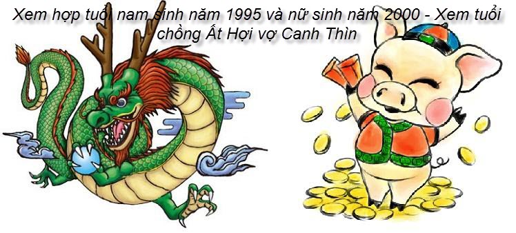 xem-hop-tuoi-nam-sinh-nam-1995-va-nu-sinh-nam-2000-xem-tuoi-chong-at-hoi-vo-canh-thin.jpg