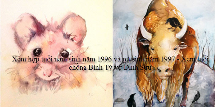 xem-hop-tuoi-nam-sinh-nam-1996-va-nu-sinh-nam-1997-xem-tuoi-chong-binh-ty-vo-dinh-suu-copy.jpg