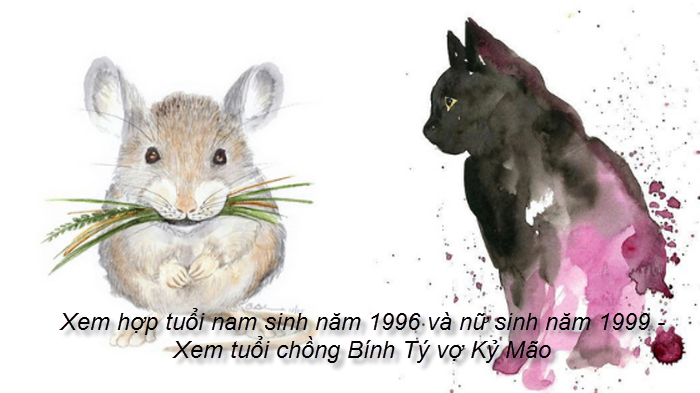 xem-hop-tuoi-nam-sinh-nam-1996-va-nu-sinh-nam-1999-xem-tuoi-chong-binh-ty-vo-ky-mao.png