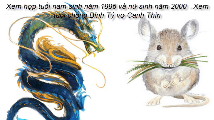 xem-hop-tuoi-nam-sinh-nam-1996-va-nu-sinh-nam-2000-xem-tuoi-chong-binh-ty-vo-canh-thin.png