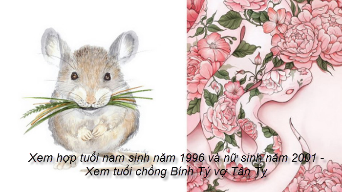 xem-hop-tuoi-nam-sinh-nam-1996-va-nu-sinh-nam-2001-xem-tuoi-chong-binh-ty-vo-tan-ty.png