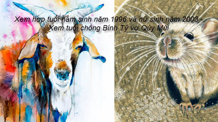 xem-hop-tuoi-nam-sinh-nam-1996-va-nu-sinh-nam-2003-xem-tuoi-chong-binh-ty-vo-quy-mui.png