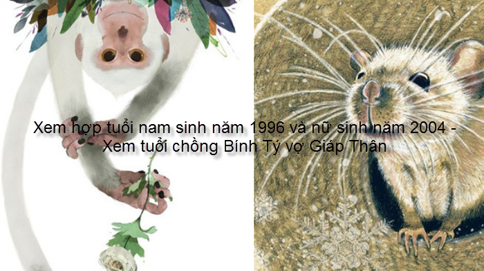 xem-hop-tuoi-nam-sinh-nam-1996-va-nu-sinh-nam-2004-xem-tuoi-chong-binh-ty-vo-giap-than.png