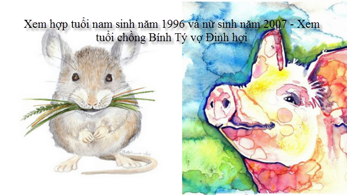 xem-hop-tuoi-nam-sinh-nam-1996-va-nu-sinh-nam-2007-xem-tuoi-chong-binh-ty-vo-dinh-hoi.png