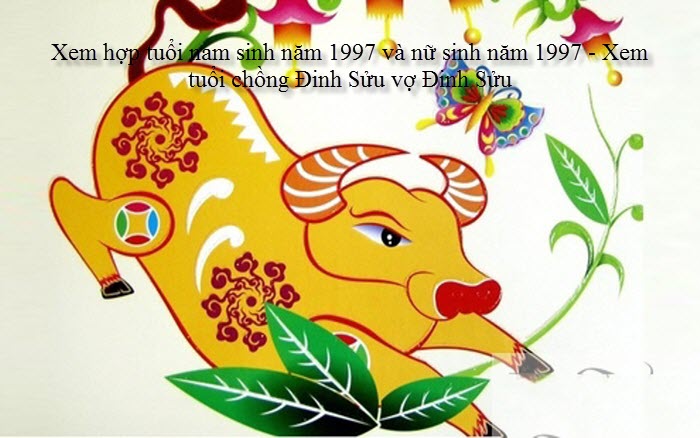 xem-hop-tuoi-nam-sinh-nam-1997-va-nu-sinh-nam-1997-xem-tuoi-chong-dinh-suu-vo-dinh-suu.jpg