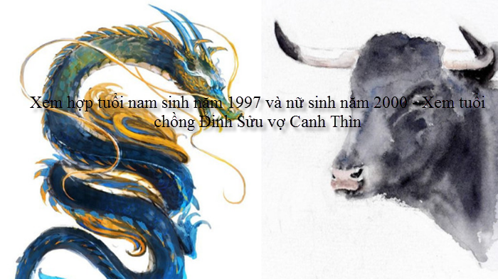 xem-hop-tuoi-nam-sinh-nam-1997-va-nu-sinh-nam-2000-xem-tuoi-chong-dinh-suu-vo-canh-thin.png