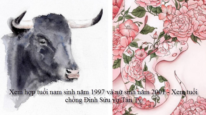 xem-hop-tuoi-nam-sinh-nam-1997-va-nu-sinh-nam-2001-xem-tuoi-chong-dinh-suu-vo-tan-ty.png